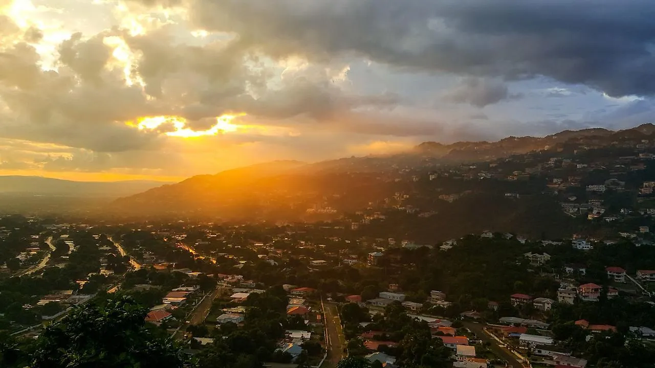 Above The City Lights Kingston Daire